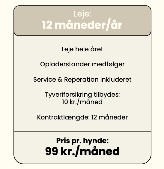 Lejepris pr. år ved 12 måneder