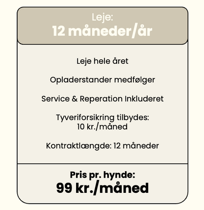 Lejepris pr. år ved 12 måneder