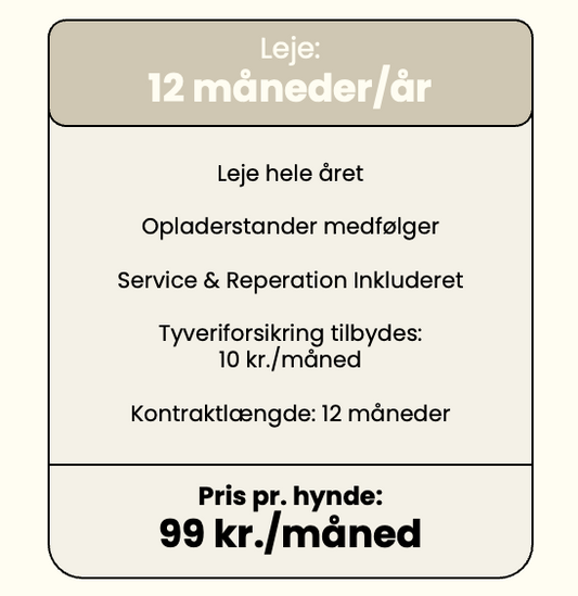 Lejepris pr. år ved 12 måneder